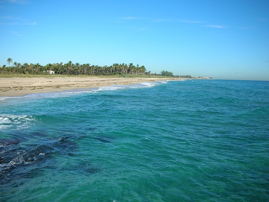 Turquoise water and palm-lined shore at the Boynton Beach Inlet