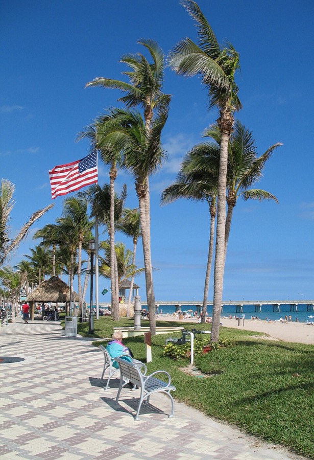 Palm-lined beach promenade and pier at Deerfield Beach
